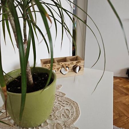 Cosy Apartment In The Heart Of Skopje Exteriör bild